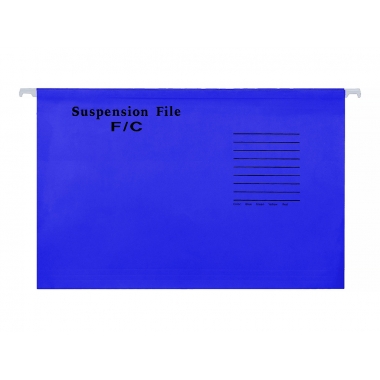 Папки FP FS (1/25-синий) в Краснодаре